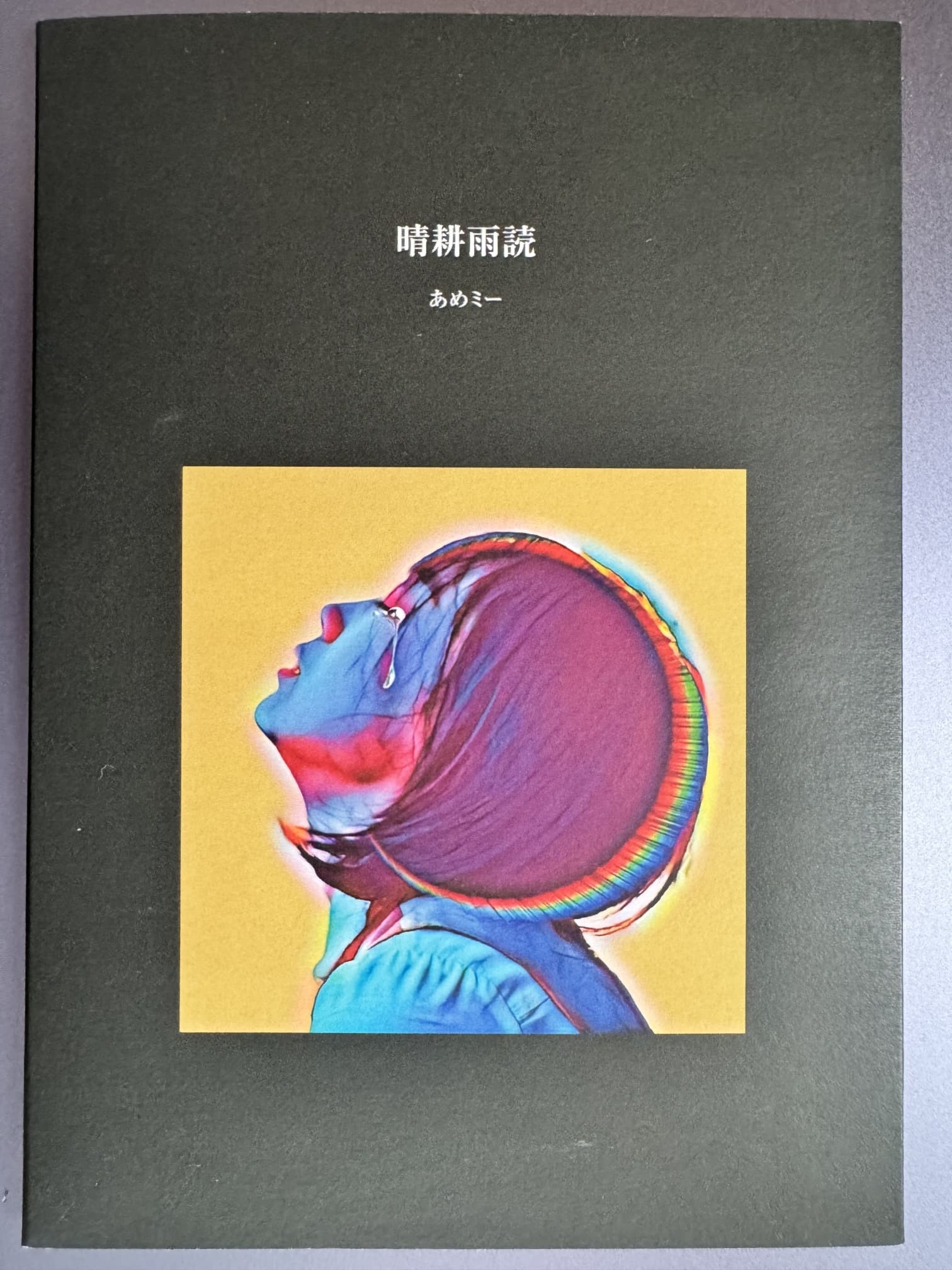 晴耕雨読(詩集) 晴耕雨読(詩集)