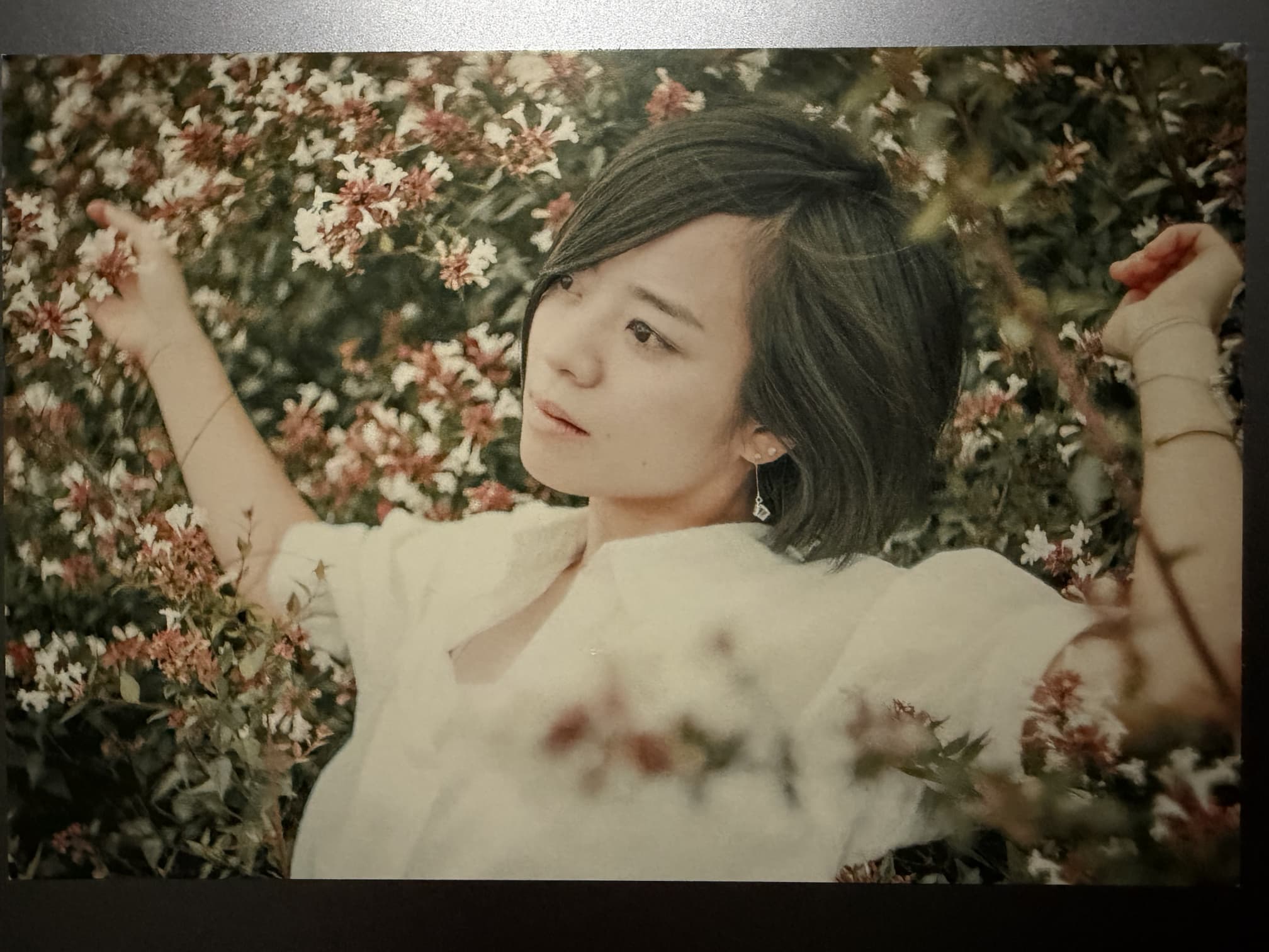 セットリストポストカード セットリストポストカード