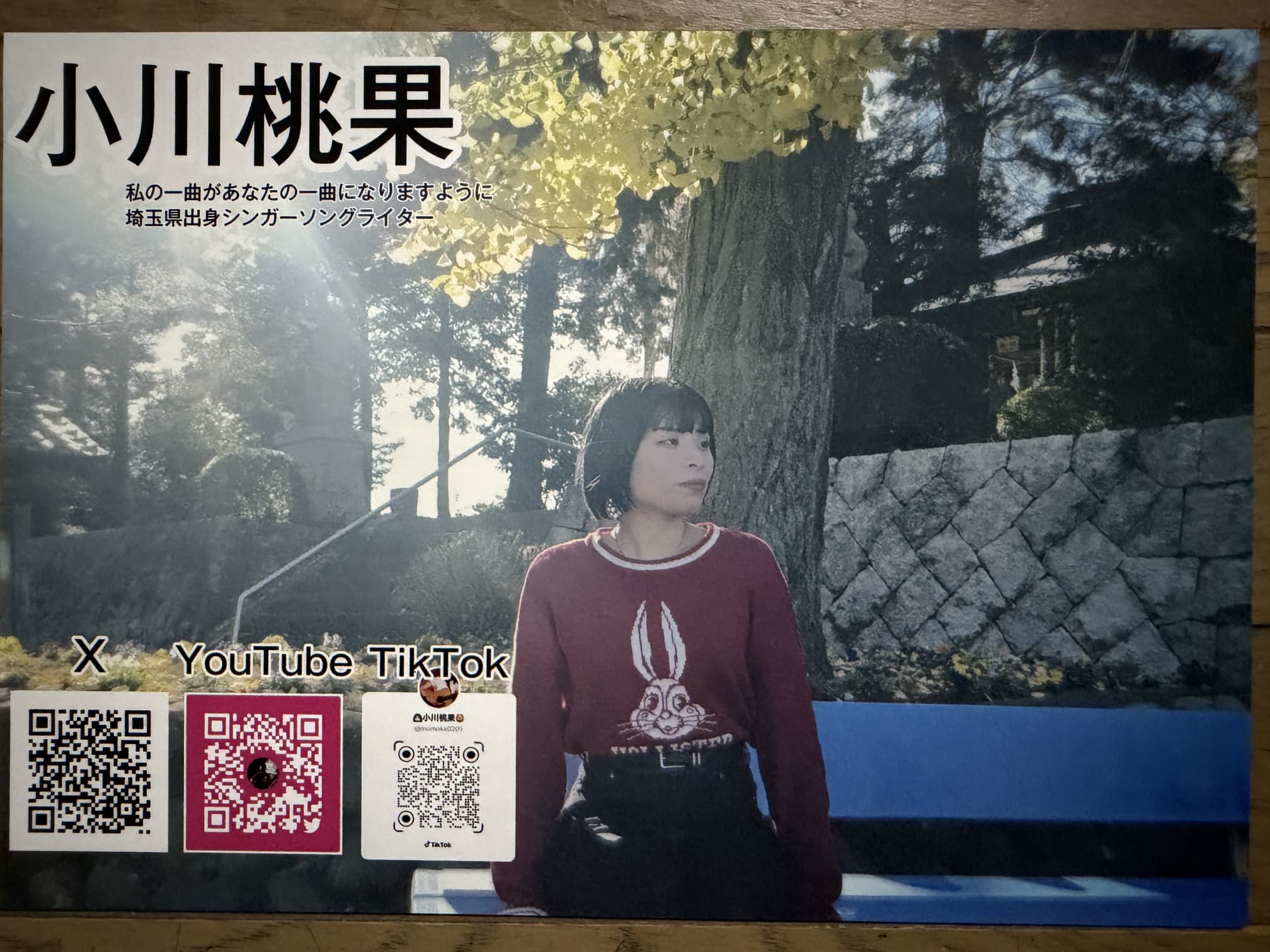 小川桃果のフライヤー 小川桃果のフライヤー
