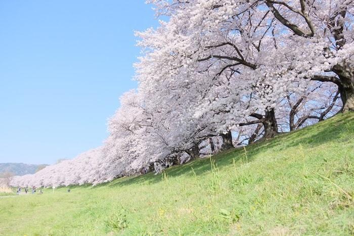 京都府八幡市の川田翔子市長が産休取得を表明したことについての賛否両論